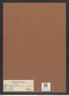 Pseudauliscus pulvinatus Cleve (de-Toni-Nr.: Genus 172, Species 4425) Zeichnungen Sammlung Grunow Mappe 04359 (Herbarium_W_Grunow_drawings_Folder_04359)